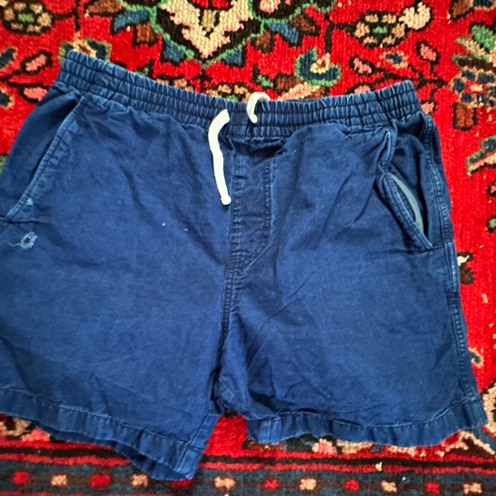 J. Crew Blue Men's Dock Shorts